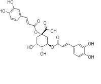 1,3-二咖啡酰奎甯酸19870-46-3