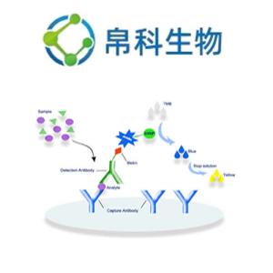 IL-4 豚鼠白介素4ELISA檢測試劑盒價格