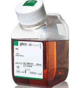 封閉兔血清正常（原液）現貨供應